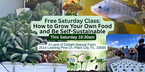 Fall Gardening Made Easy: What to Plant & How to Grow in Central Florida & Aquaponics Made Easy