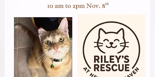 Adoption Meet & Greet Donation Drive 