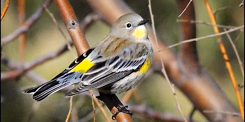 Nature Collective Hosts Wildlife Tour