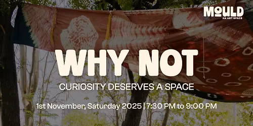 Why Not: Curiosity Deserves a Space