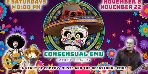 Consensual Emu - Musical Improv Headliner