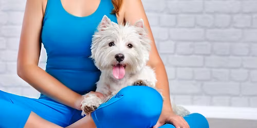 Dog yoga at Lotus Lauttasaari