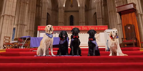 Canine Partners Arundel Carol Concert 2025