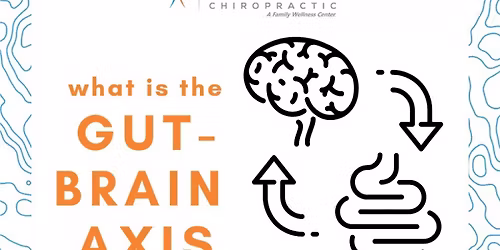 Secrets about Gut Health + The Gut-Brain Axis