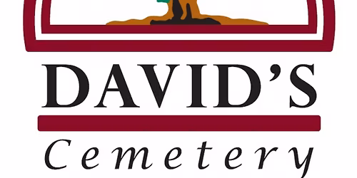 Christmas Eve Luminaries