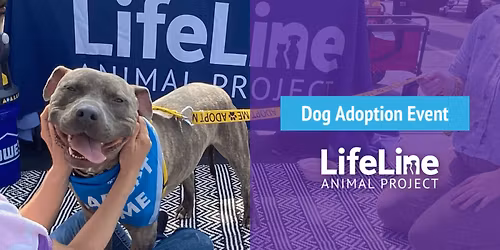 2nd Annual Mighty 6 Cleared for Takeoff Domestic Violence Awareness 5K Dog Adoption Event