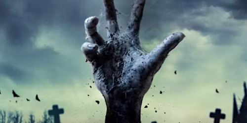 Le Freak c'est Chic!