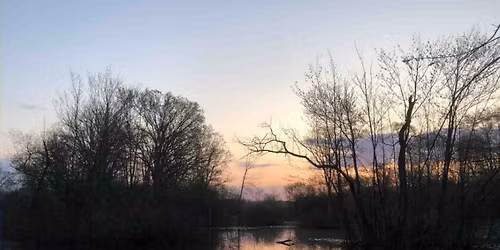 Full Moon Serenade (Beaver Moon)