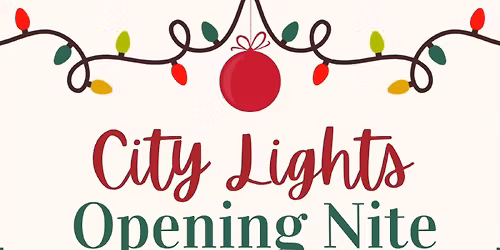 Honolulu City Lights Family Evening