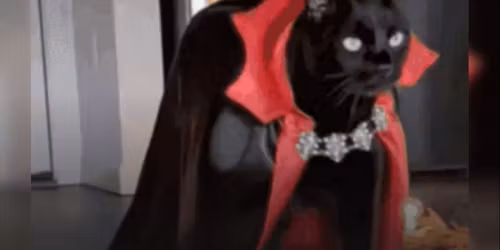 Halloween flash tattoo event