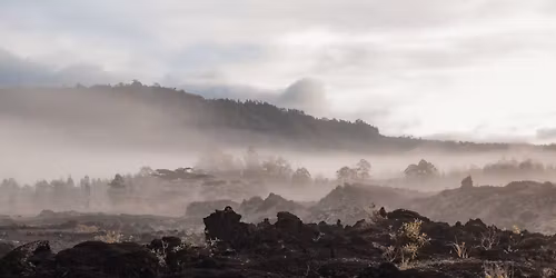 Elysium Mother\u2019s Day Cacao & Breathwork Journey for NURTURING & BELONGING