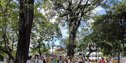 Safari por Historia y Arquitectura: Democracia en Costa Rica (2da Fecha)