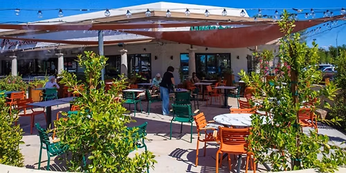 Celebrate Coffee Plantation's Grand Reopening in Scottsdale