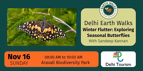 Winter Flutter: Exploring Seasonal Butterflies at Aravali Biodiversity Park