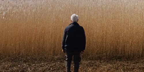 Official Dutch Oscar entry: Sven Bresser\u2019s acclaimed \u201cReedland\u201d opens at Cinema Village in NYC