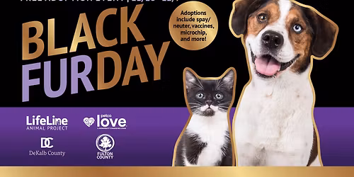 Black Furday Free Pet Adoptions