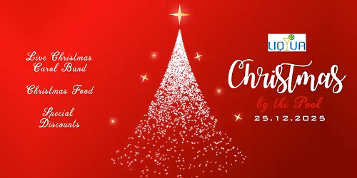 Christmas By the Pool