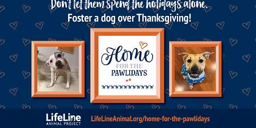 Home for the Pawlidays 2025