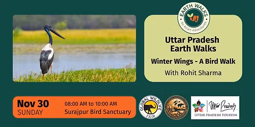 Winter Wings: Bird Walk at Surajpur