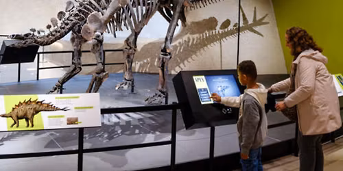 American Museum of Natural History