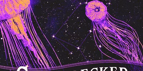 Shipwrecked Festival 2026