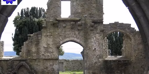 Feng Shui for Optimal Health