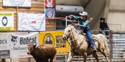 Brash Rodeo Winter Series