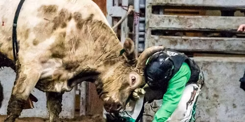 Brash Rodeo Winter Series