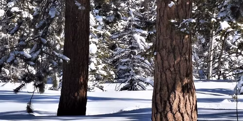 UNA Winter Stoke and Ski Wax Party