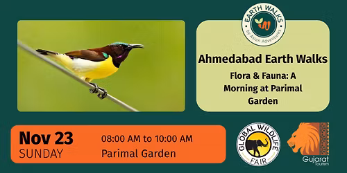 Flora & Fauna: A Morning at Parimal Garden