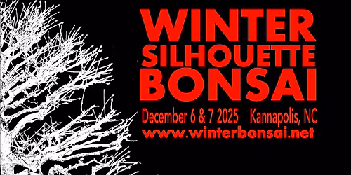 Winter Silhouette Bonsai Show