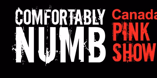 COMFORTABLY NUMB \u2013 CANADA\u2019S PINK FLOYD SHOW