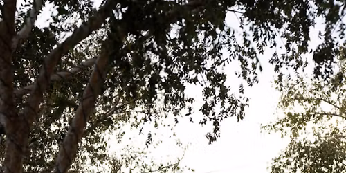 Hanukkah at Scottsdazzle\u2019s Menorah Lighting and Public Hanukkah Celebration DEC. 17 and DEC. 21