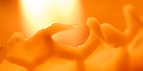 Beeswax Candle Making Workshop