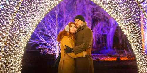 Christmas at the Botanics