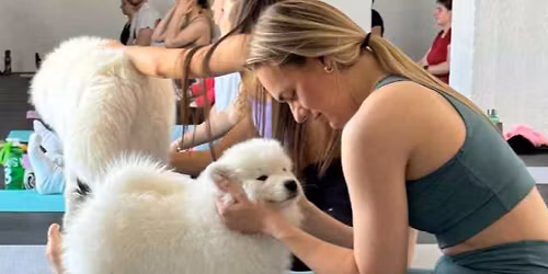 🐾 PetsYoga v Trnave – víkend, ktorý si zamiluješ!