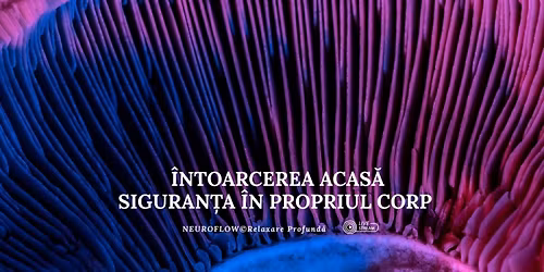 \u00centoarcerea Acas\u0103: Siguran\u021ba \u00cen Propriul Corp (Neuroflow\u00a9 Relaxare Profund\u0103)