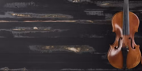 The Orchestra by Ophelia Novak