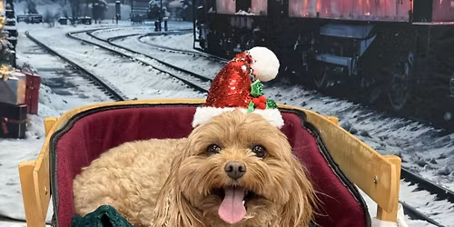 MHS Holiday Photobooth at Rens Pets Heartland