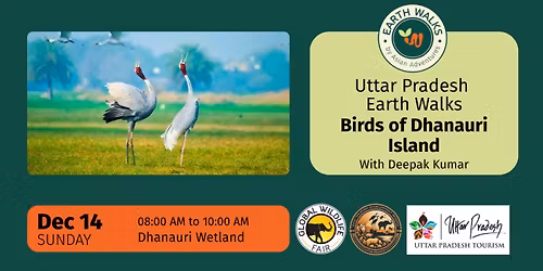 Birds of Dhanauri Island