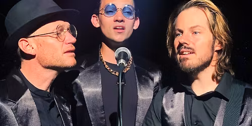 The Bee Gees Night Fever