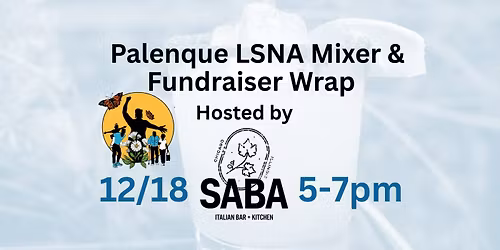 Palenque LSNA Margaritas for a Mission After Party