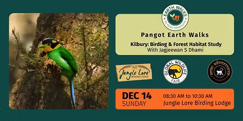 Kilbury: Birding & Forest Habitat Study at Pangot