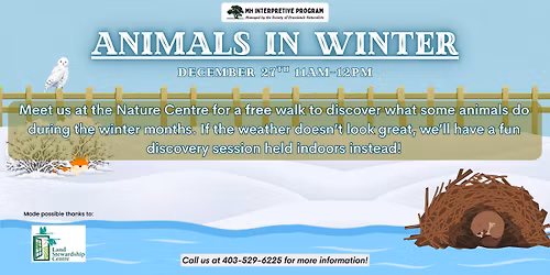 Animals In Winter