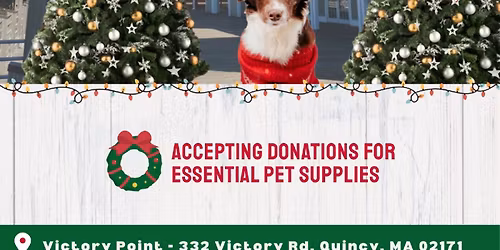 Adopt a Dog This Holiday Season in Quincy!