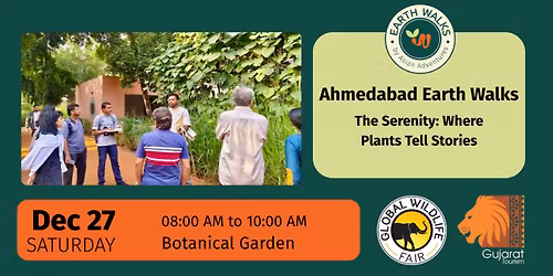 The Serenity: Where Plants Tell Stories