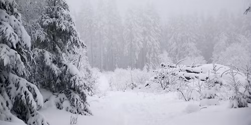 Winter Warmer: An Afternoon of Yoga Mini-Retreat