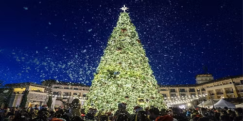 Christmas Dinner at Ember