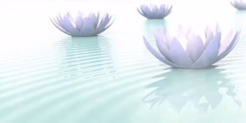 Meditations on the Stages of the Path to Enlightenment