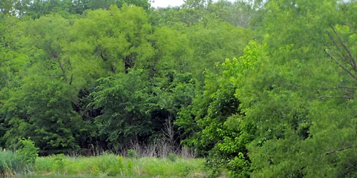 3-Hour Wetland Canoe Trails